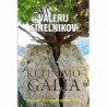 V.Sinelnikov Ketinimo galia. Kaip įgyvendinti savo svajones ir norus